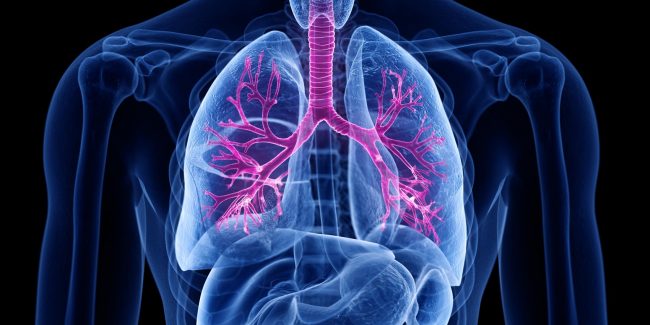 什么是慢性阻塞性肺病 (Chronic Obstructive Pulmonary Disease)，為何與新冠疫情有關？